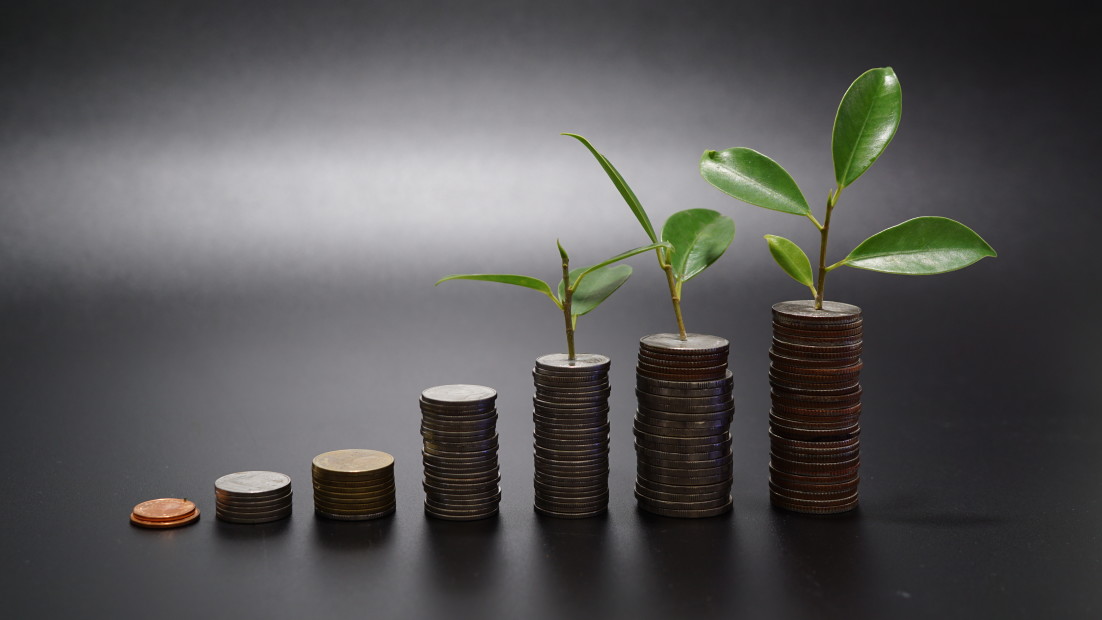 Valorisation de la trésorerie et de l'investissement d'entreprise